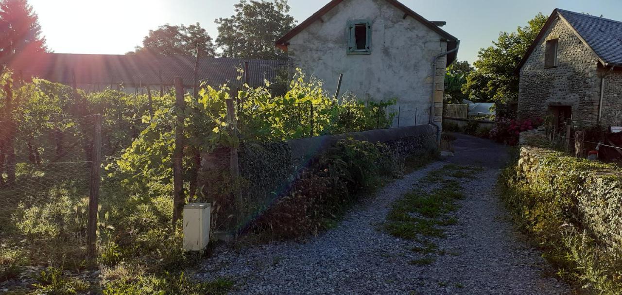 Gite Les Petits Chemins Ledeuix Exterior foto